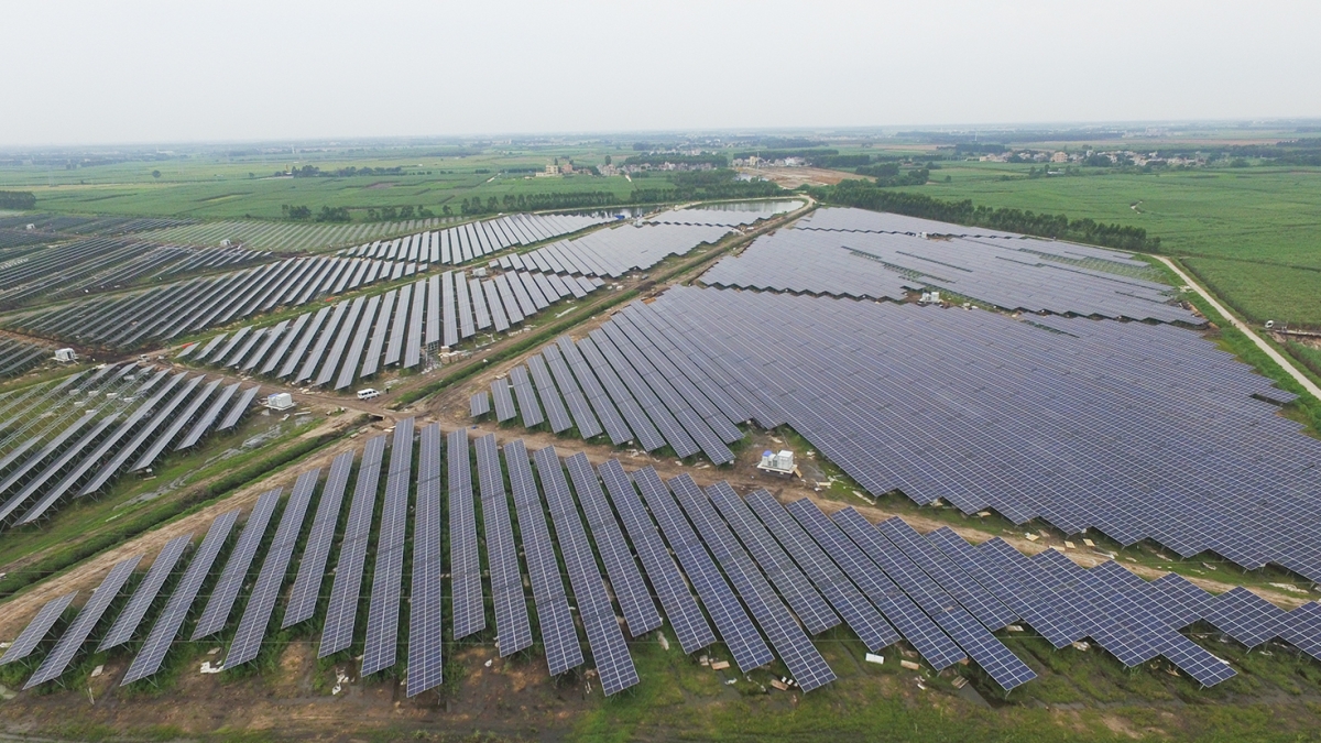 遂溪縣遂西光伏農(nóng)業(yè)綜合利用項目(二期50MW)光伏電站項目